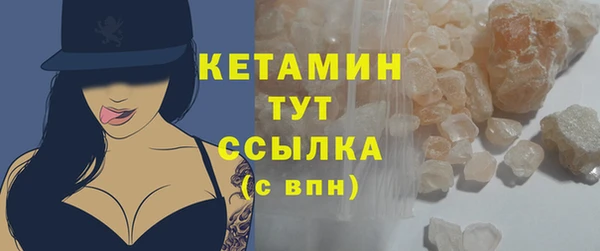 сатива Аркадак