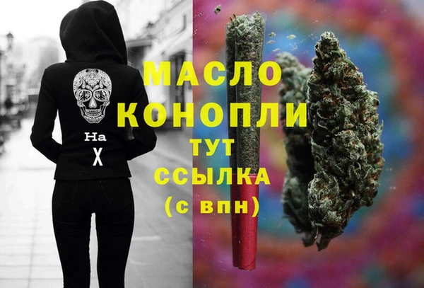 сатива Аркадак