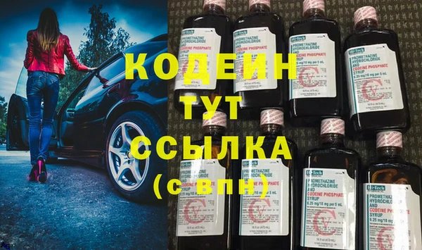 сатива Аркадак