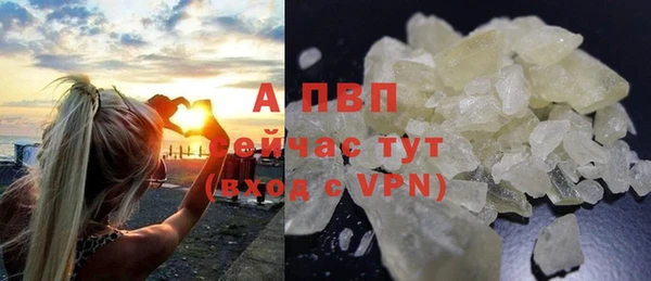 сатива Аркадак