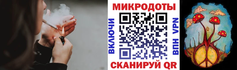 Псилоцибиновые грибы Psilocybe  Ессентуки 