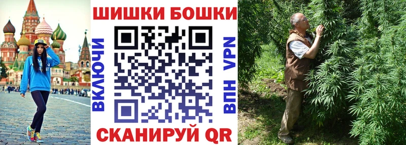 Конопля гибрид  где найти наркотики  Ессентуки 